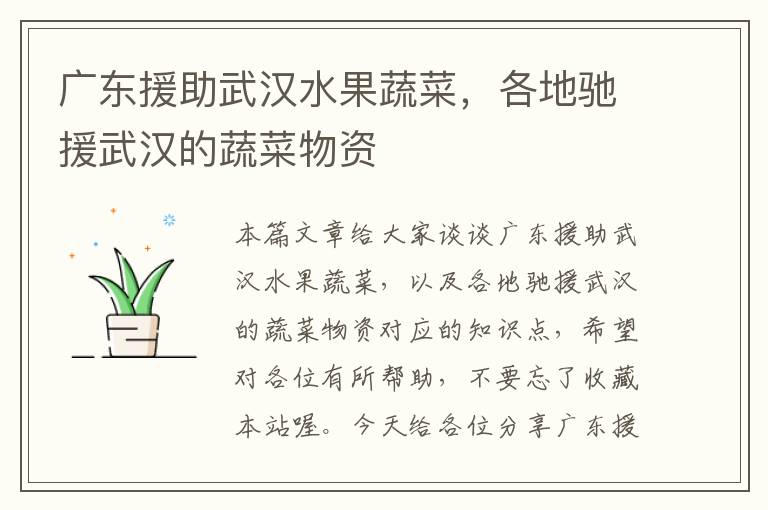 广东援助武汉水果蔬菜，各地驰援武汉的蔬菜物资